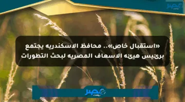 «استقبال خاص».. محافظ الإسكندرية يجتمع برئيس هيئة الإسعاف المصرية لبحث التطورات